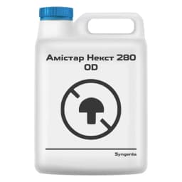 Амістар Некст 280 OD