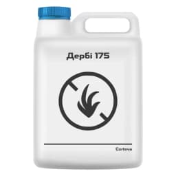 ДЕРБІ 175
