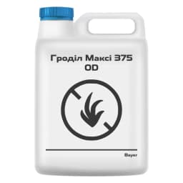 Гроділ Максі