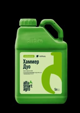 Хаммер Дуо
