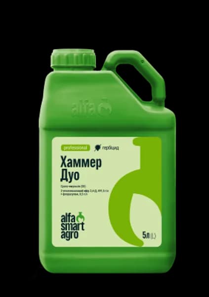 Хаммер Дуо