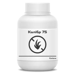 Калібр 75