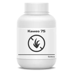 Камео 75