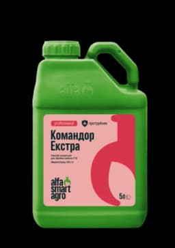 Командор Екстра