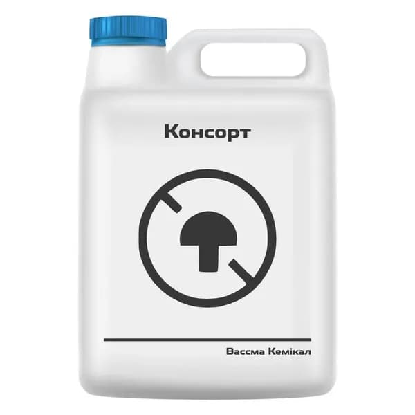 Консорт