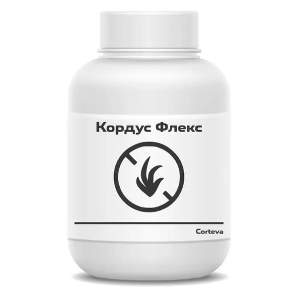 Кордус Флекс