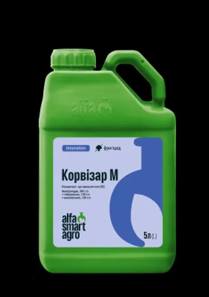 Корвізар М