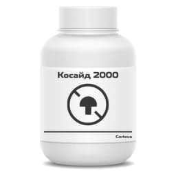 Косайд 2000