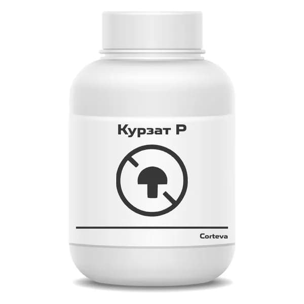 Курзат Р