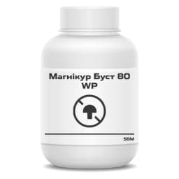 Магнікур Буст 80 WP