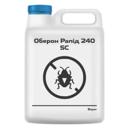 Оберон Рапід