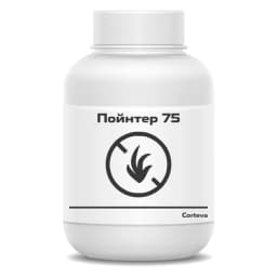 Пойнтер 75