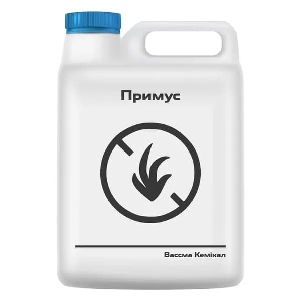 Примус