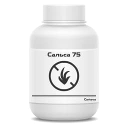 Сальса 75