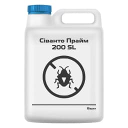 Сіванто Прайм