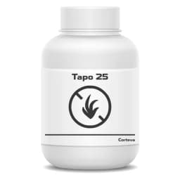 Таро 25