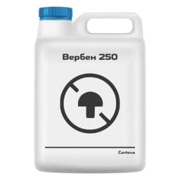 Вербен