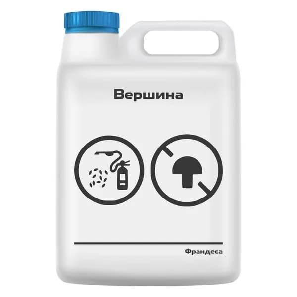 Вершина