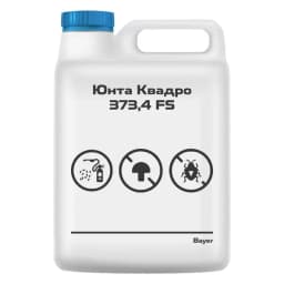 Юнта Квадро
